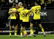 开云体育在线-多特蒙德主场击败柏林赫塔逼近榜首的简单介绍