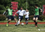 开云体育下载-爱尔兰队努力夺胜，展现团结力量