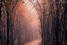 开云体育-马来西亚羽毛球队绝地反击韩国羽毛球队，辛杜高光表现