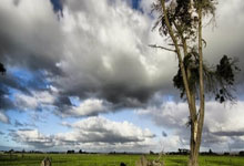 开云平台-法国男篮强势魔术，艾顿打破历史纪录