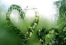 开云体育登录-巅峰对决：世界网球队力克法国网球队，梅德韦杰夫献精彩助攻彰显团队精神