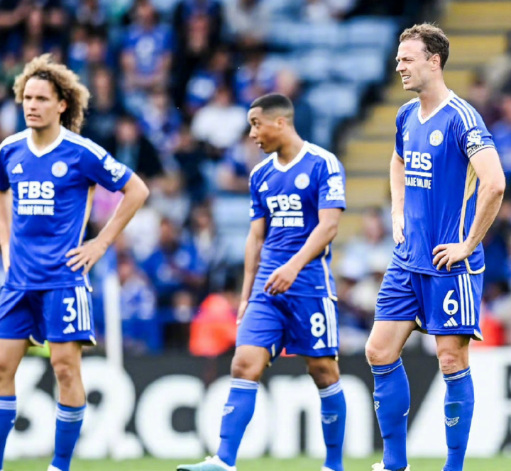 谢菲联灭掉南安普顿,进一步提升排名 谢菲联灭掉南安普顿,进一步提升排名