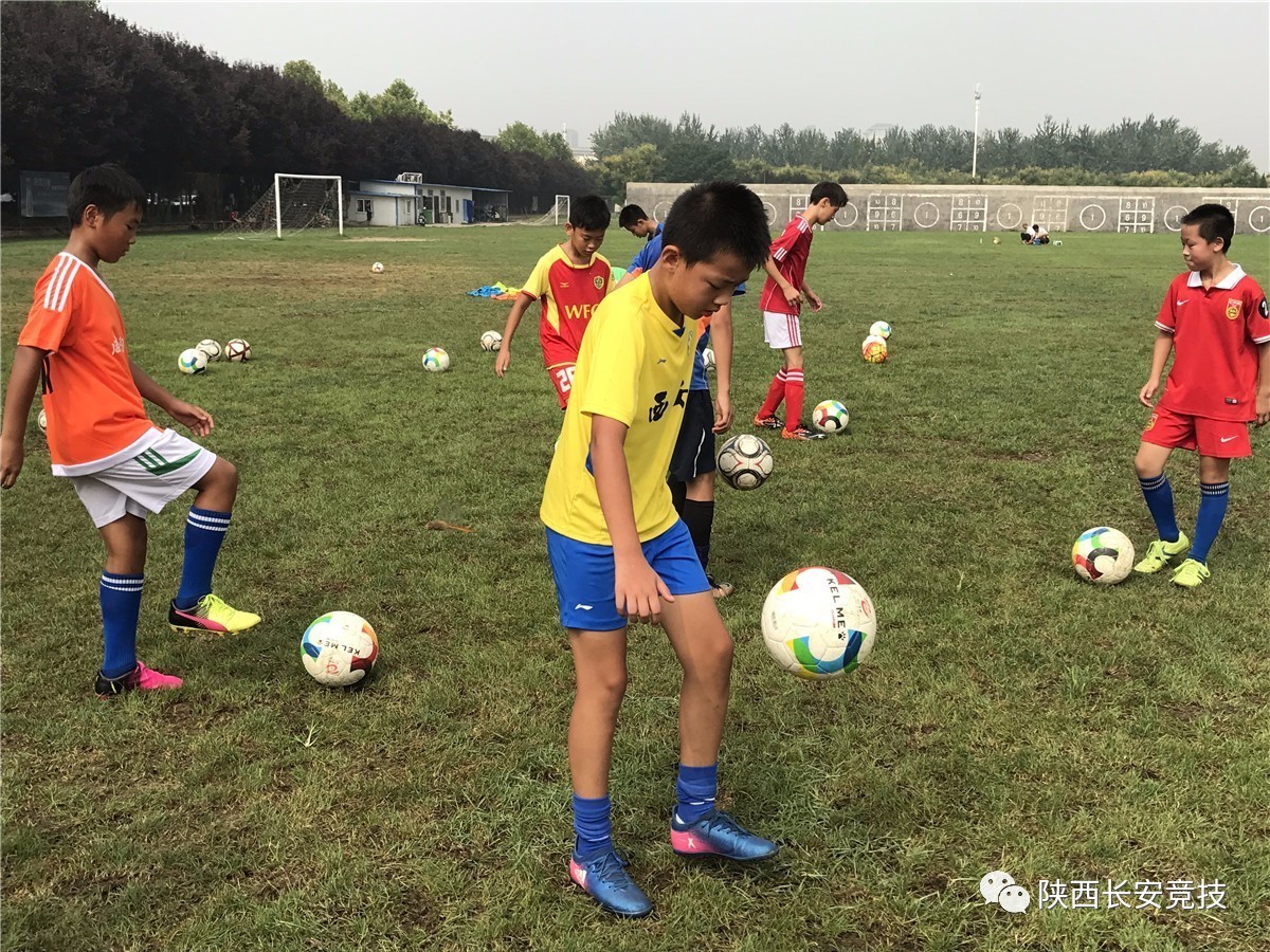 狼队球员逐渐适应比赛强度,希望继续保持胜利 狼队球员逐渐适应比赛强度,希望继续保持胜利