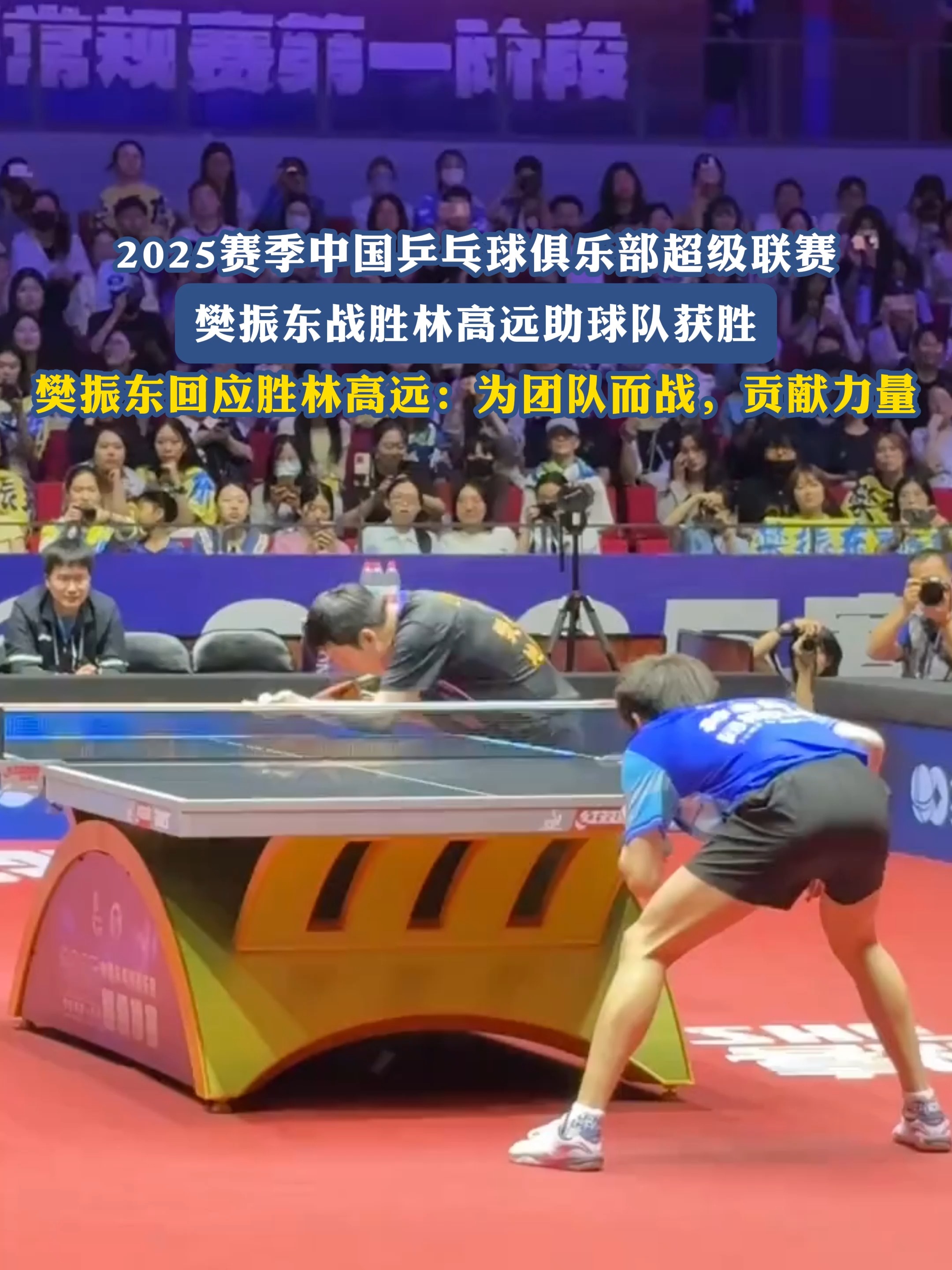 中国乒乓球队翻盘瑞典乒乓球队，樊振东送出助攻的简单介绍