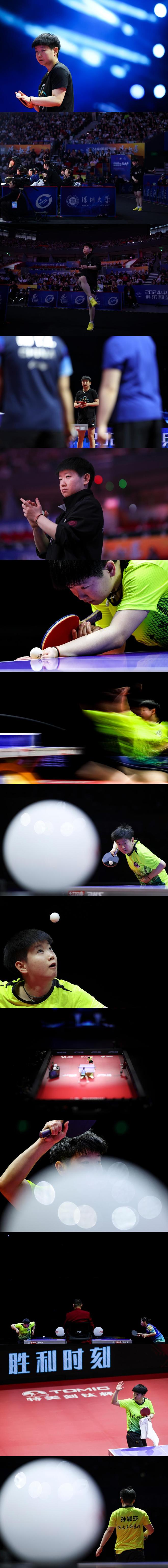 乒乓球总决赛即将打响，冠军归属成谜的简单介绍